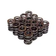 BLOX Racing DUAL VALVE SPRINGS Valvesprings FOR Honda S2000 F20C F22C 00-09
