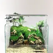 Aquarium Led Light UV Light Full Spectrum ADA Style Accessories Fish Tank Decora
