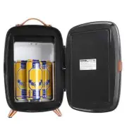 Mini Skincare Fridge 6L – LED Mirror, AC/DC, for Makeup & Drinks, Black