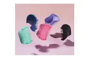 Tangle Teaser Scalp Massage Brush, 4 Types, Choice 1, Onyx Black