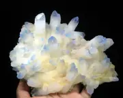 2.45 lb Rare Beatiful Blue Tibetan Ghost phantom Quartz Crystal Cluster Specimen