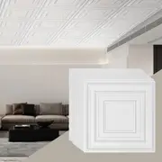 Ceiling Tiles 12-Pack 24 x 24 in PVC Easy Installation White Peg Pattern