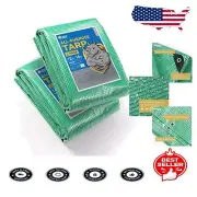 10 Mil Heavy-Duty Clear Green Tarp - Ideal for Greenhouses & Camping 2-Pack