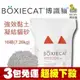 免運❤️現貨❤️{3包組}美國頂級 BOXIECAT《博識貓/益生菌強效黏土凝結貓砂》16磅