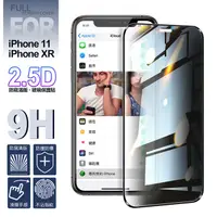 在飛比找PChome24h購物優惠-NISDA for iPhone 11/ iPhone XR