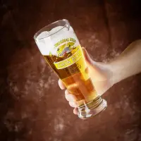 在飛比找蝦皮購物優惠-1664專用啤酒杯 朝日啤酒杯子精釀麒麟酒杯 喝青島啤酒杯子
