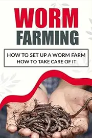 Worm Farming: How to set up a worm farm and How to take care of it