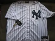 NY Yankees Devin Williams Home Jersey L