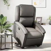 Stand Up Recliner Chair, Grey Real Leather, Power Lift & Manual Reclining, Comfy Sofa for Living Room and Bedroom, Space-Saving Design, Wood & Metal Frame