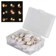 Natural Shells Sea Snail Jewelry Craft Conch Home Wedding Decorations Or EUJ