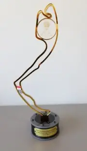 2018 Daniel Ricciardo Monaco Monte Carlo Trophy Handmade (LARGE)