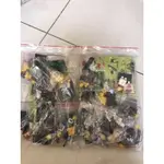 LEGO 8803 人偶包 抽抽樂 全套 16隻 第三代 第3代 精靈弓箭手 印地安人 日本武士 棒球員 漁夫 猩猩人