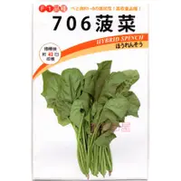 在飛比找蝦皮購物優惠-【萌田種子~蔬菜種子】A23 日本706菠菜種子160公克(