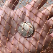 Line Netting -Nylon Net Anti Bird Netting Protective Fencing Mesh Fishing Net