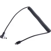 DigitalFoto Solution Coiled USB-C to Locking DC Barrel Power Cable (1.6 to 4.9')