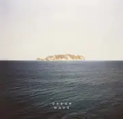 Tiny Ruins - Dream Wave- Vinyl Record New Music Album