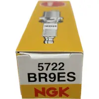 在飛比找蝦皮購物優惠-安摩伊 附發票 NGK BR9ES 火星塞 5722 適用 