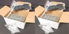 36 x Vivaplex 10ml CLEAR Glass Roll On Perfume & Oil Bottles/Vials with Droppers