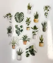 Plant Stickers Set Of 15 Monstera Snake Pothos Free Shipping