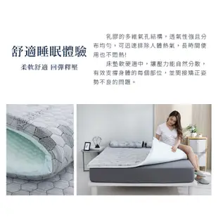 【藍貓BlueCat】台灣製造 冰火石墨烯乳膠床墊  防靜電 乳膠床 床墊 冷熱兩用床墊  乳膠床墊