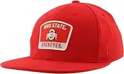 Zephyr NCAA Officially Licensed Fitted Hat M15z Switchback Team Color