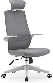 [SIHOO] M76A-M101 Ergonomic Office Chair, Breathable Mesh Desk Chair with Lumbar Support, 2D Headrest, Clothes Rack and Flip-up Arms, Swivel Task Chair, Adjustable Height Gaming Chair(Grey)