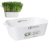 Seed Sprouter Tray Container Wheatgrass Grower Lid Sprouting Bean Mung