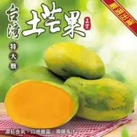 在飛比找ETMall東森購物網優惠-果物樂園-台灣大顆土芒果(約10斤/箱)