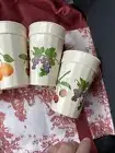 Fruit Pattern Plastic Vintage Cups