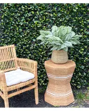 Creative Displays Outdoor Calladium Bush