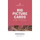 The Gospel Project for Preschool: Preschool Big Picture Cards - Volume 4: From Unity to Division: 1 Samuel - 1 Kings