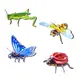 0702 3D立體昆蟲拼圖 蝴蝶瓢蟲蜜蜂螳螂紙模型立體 3D拼圖 益智拼圖