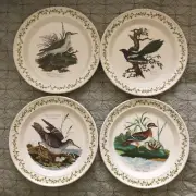 Set of 4 Portmeirion Birds of Britain Dinner Plates