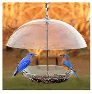 2 Pack Dome Top Seed & Bluebird Feeder, 11-3/4 Inch 24213