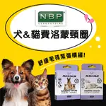 西班牙NBP 費洛蒙項圈 情緒穩定費洛蒙項圈 貓費洛蒙 外出安撫項圈 安撫 亂尿尿 亂抓 亂叫 貓情緒安撫 平靜項圈⭐