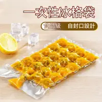 在飛比找蝦皮購物優惠-【限時.特賣】一次性製冰袋 製冰 一次性冰袋 冰塊 保冰 製