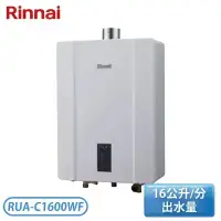 在飛比找環球Online優惠-【Rinnai 林內】16公升 屋內型強制排氣熱水器 RUA