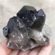 340g Natural Smoky Quartz Cluster Quartz Crystal Point Specimen Reiki Decor