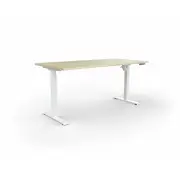 Quick Stand Desk