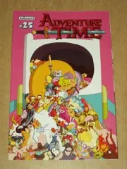 ADVENTURE TIME #25 KABOOM STUDIOS COVER B FEBRUARY 2014 NM (9.4)