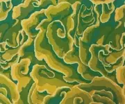 Kaffe Fassett Quilting Cotton 1/2 Meters Wood Ear Green