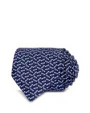 Ferragamo Silk Classic Dragonfly Tie