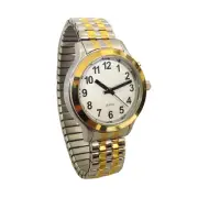 Lady's Talking Alarm Watch TwoTone Time,Month,Day,Date Low Vision & Blind