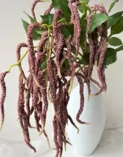 Amaranthus Flowers Stem Hanging Flower DIY Arrangement Artificial Amaranths Silk