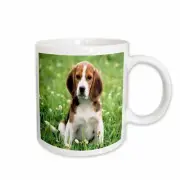 3dRose For Love Of A Beagle Mug