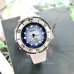 SRPG59K1 4R35-04Z0H SEIKO 精工 愛海洋系列 冰島企鵝漫步 鮪魚罐頭 PROSPEX 機械錶