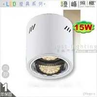 在飛比找樂天市場購物網優惠-【吸頂筒燈】E27 PAR30 LED 15W 17公分 白