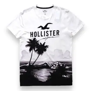 【HOLLISTER Co】海鷗 男生 多款 短袖T恤 男款 短TEE 多色多款(海鷗 男生 短袖 多款多色)