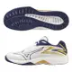 Mizuno 美津濃 男鞋 女鞋 排球鞋 THUNDER BLADE 2.5E 白藍【運動世界】V1GA237043