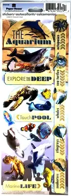 Aquarium Marine Life Touch Pool Dolphin Paper House Cardstock Stickers 12"
